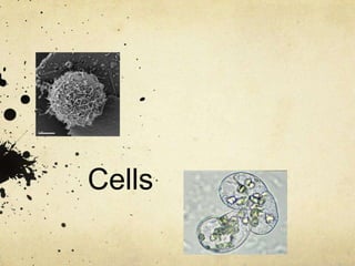 Cells
 