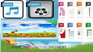 AUDIO, VIDEO, PICTURE,DOCUMENT
 