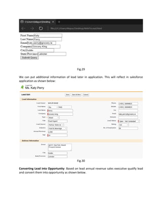 Salesforce Application for Retail Business | PDF