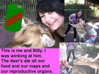 The deer's ate all our food and our maps and our reproductive organs.  This is me and Billy. I was winking at him. BEER 