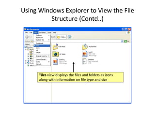 Using Windows Explorer to View the File
Structure (Contd..)
Tiles view displays the files and folders as icons
along with information on file type and size
 