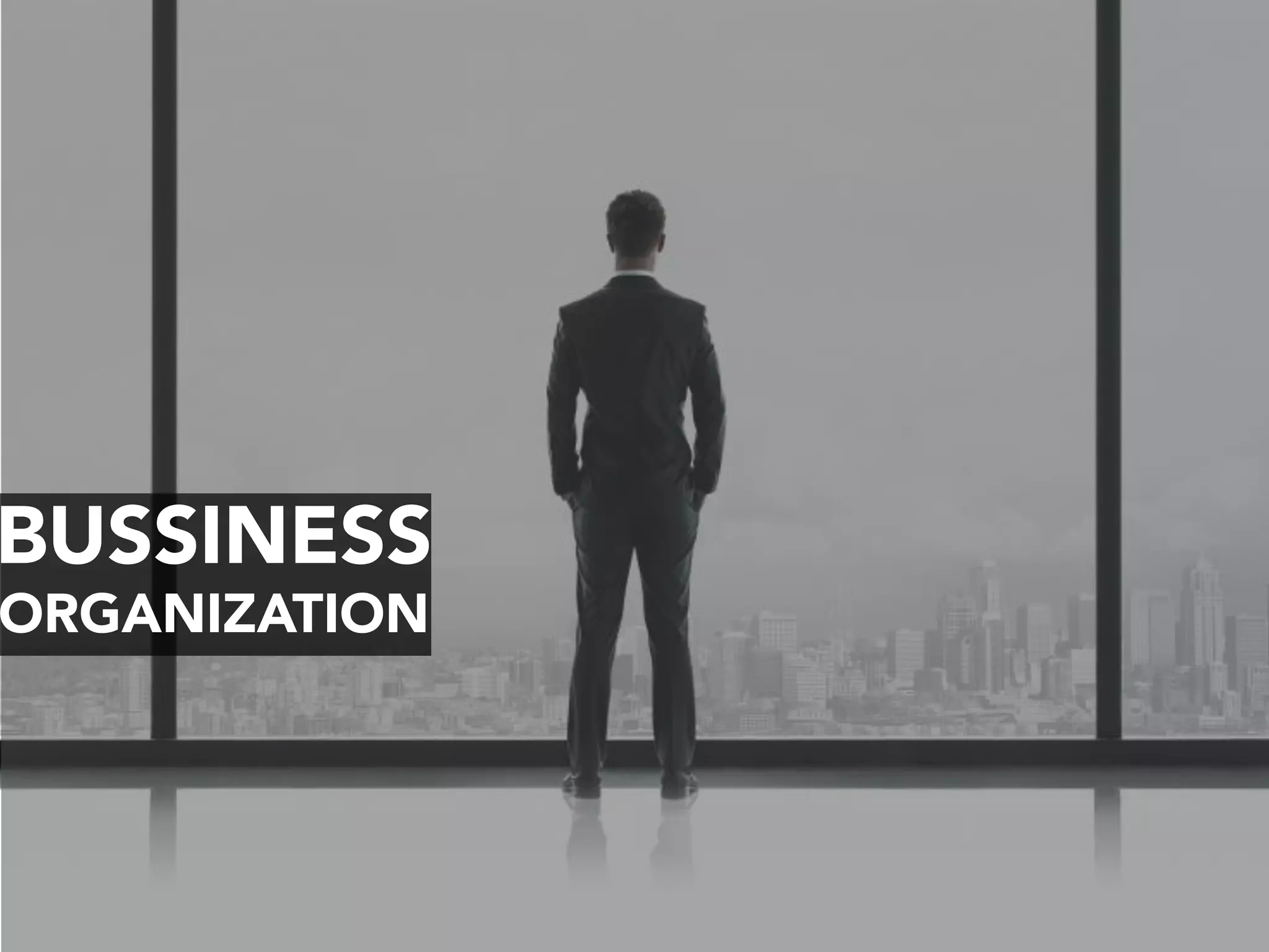 BUSSINESS
ORGANIZATION
 