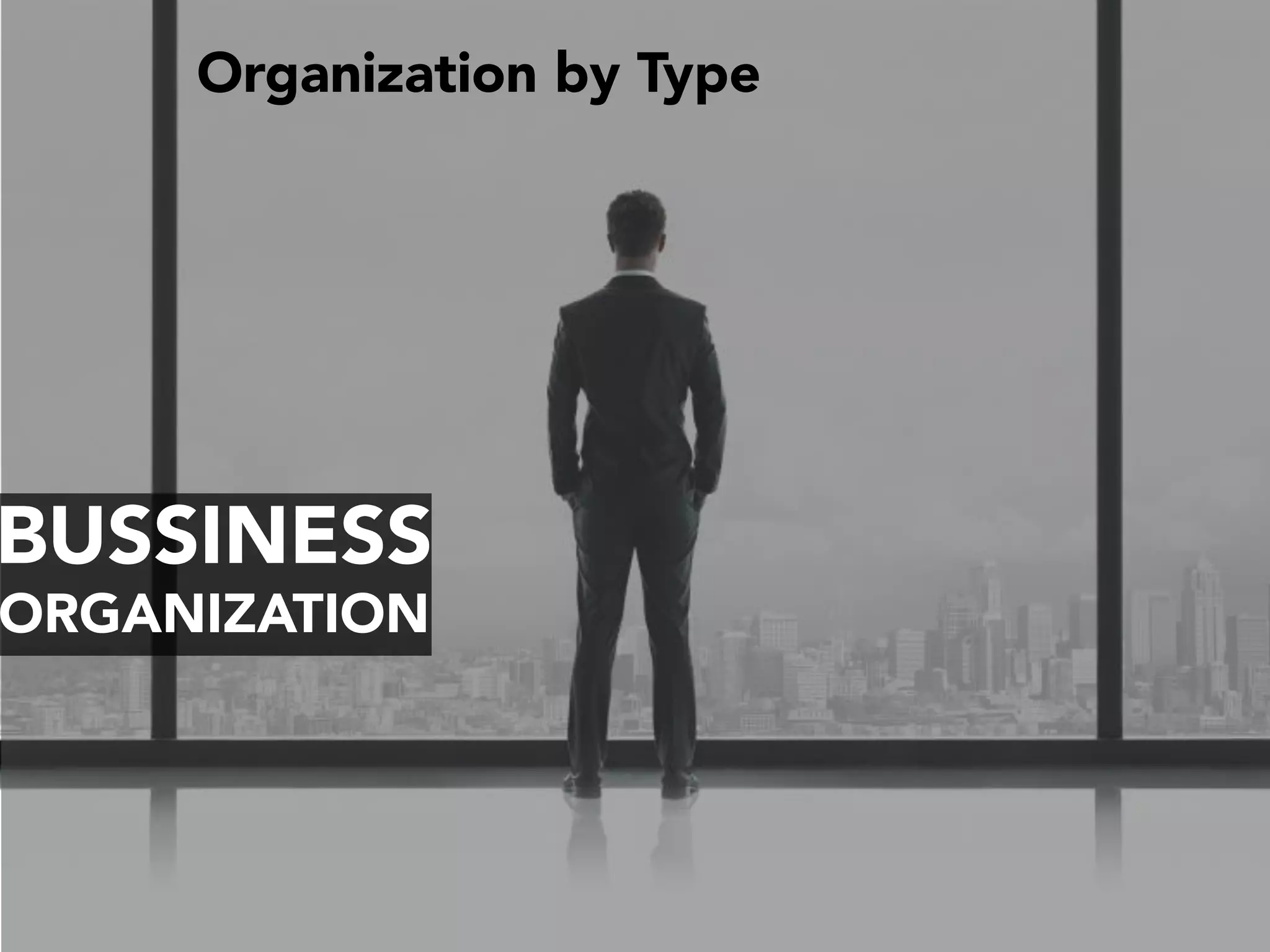 BUSSINESS
ORGANIZATION
Organization by Type
 