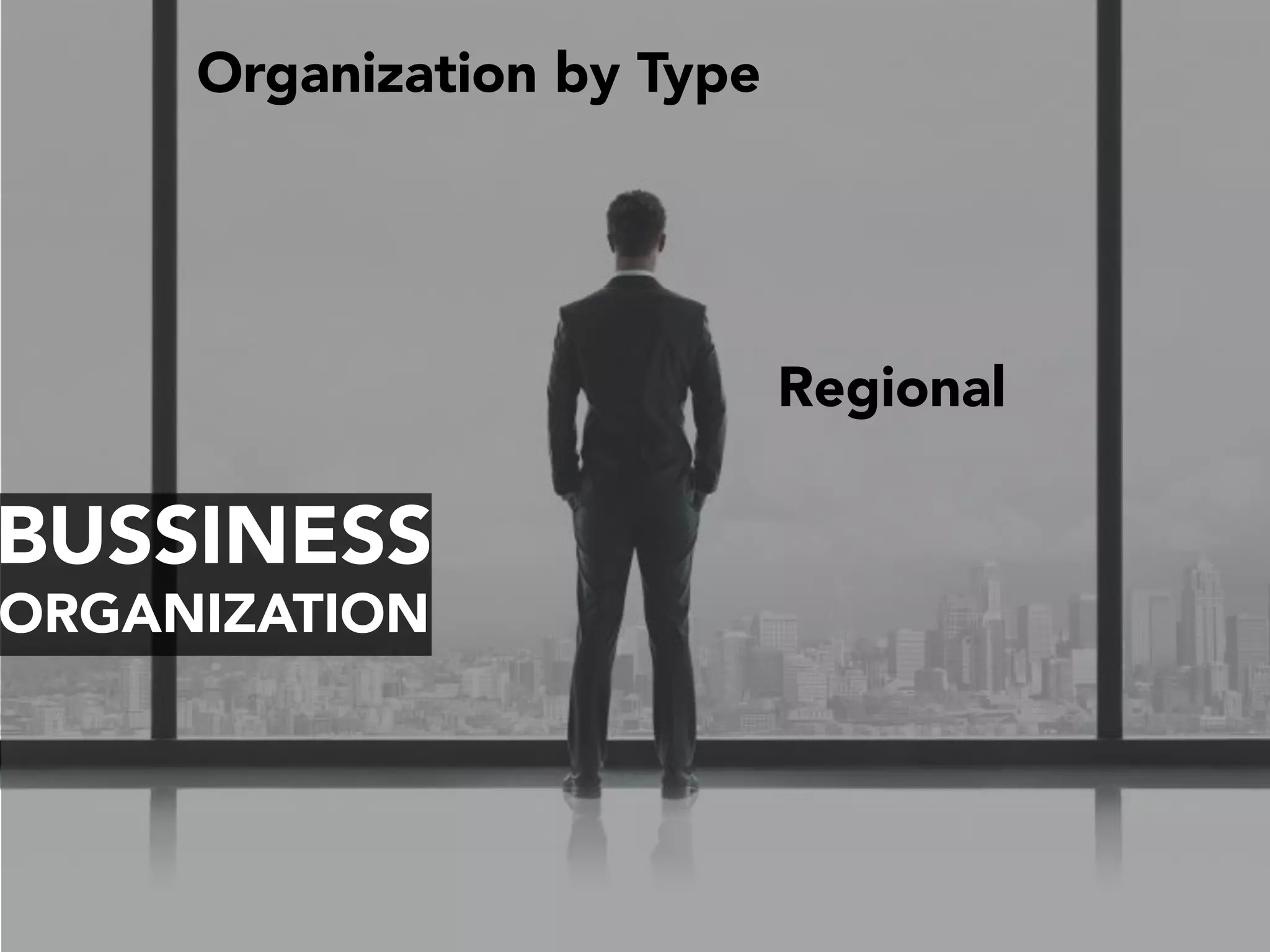 BUSSINESS
ORGANIZATION
Organization by Type
Regional
 