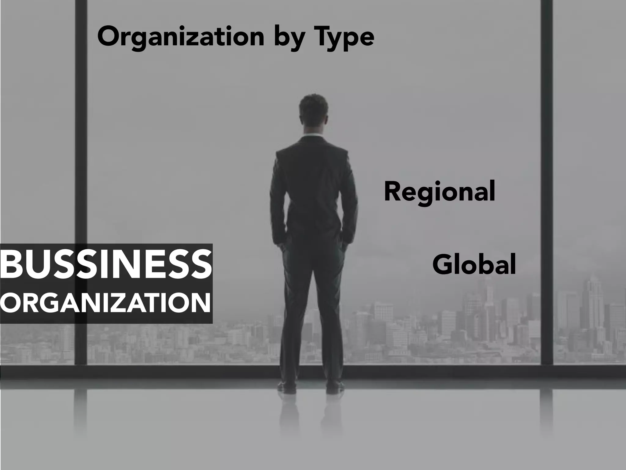 BUSSINESS
ORGANIZATION
Organization by Type
Global
Regional
 