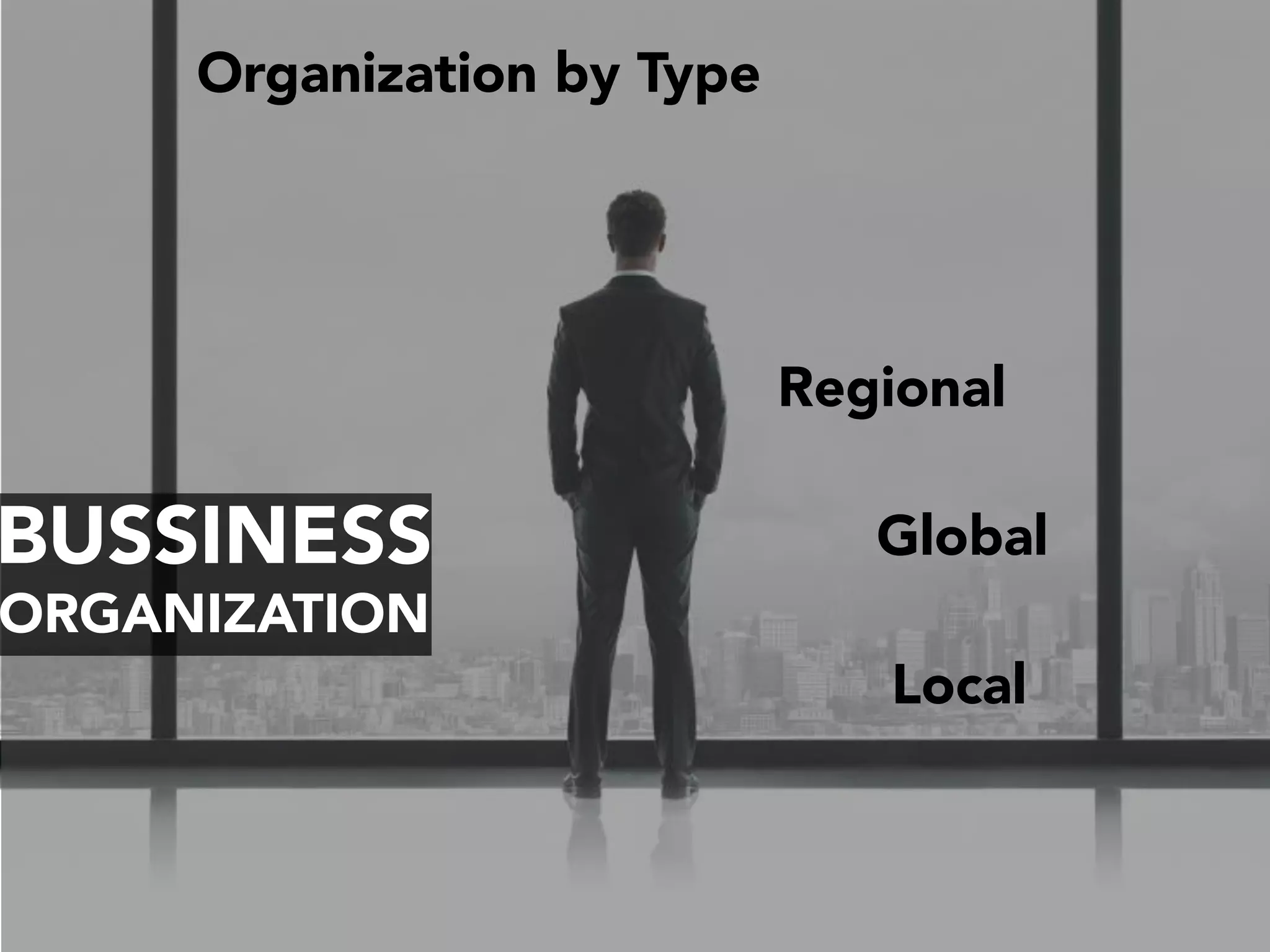 BUSSINESS
ORGANIZATION
Organization by Type
Global
Regional
Local
 