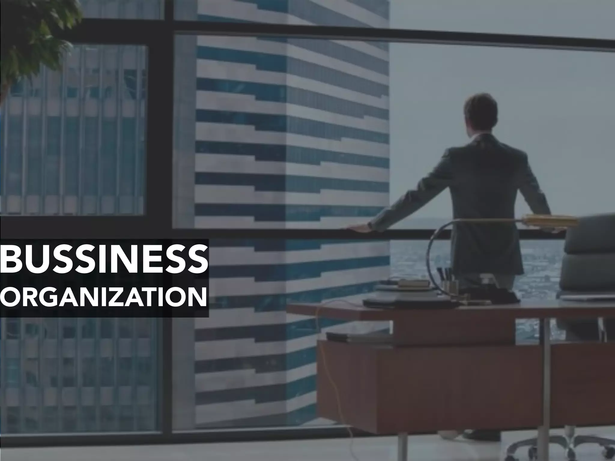 BUSSINESS
ORGANIZATION
 