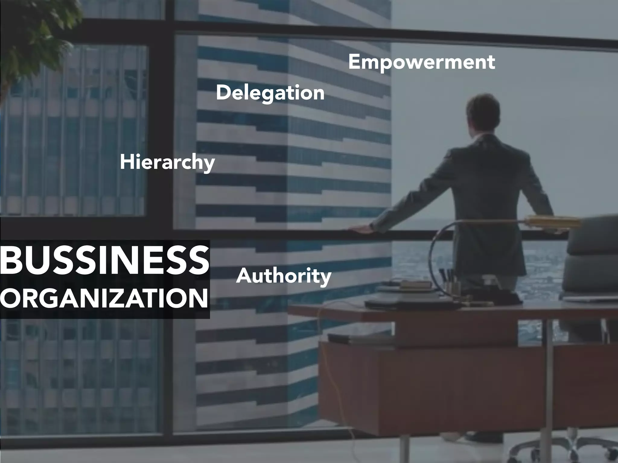 BUSSINESS
ORGANIZATION
Authority
Hierarchy
Delegation
Empowerment
 