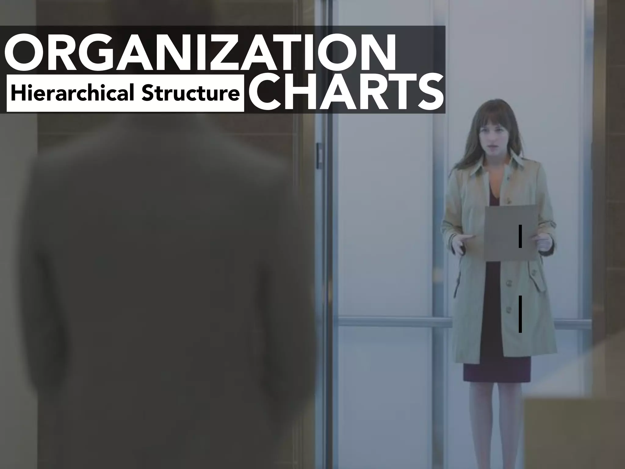 ORGANIZATION
CHARTSHierarchical Structure
 