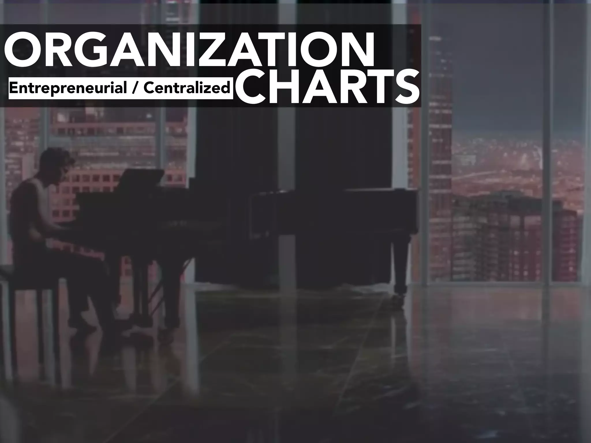 ORGANIZATION
CHARTSEntrepreneurial / Centralized
 