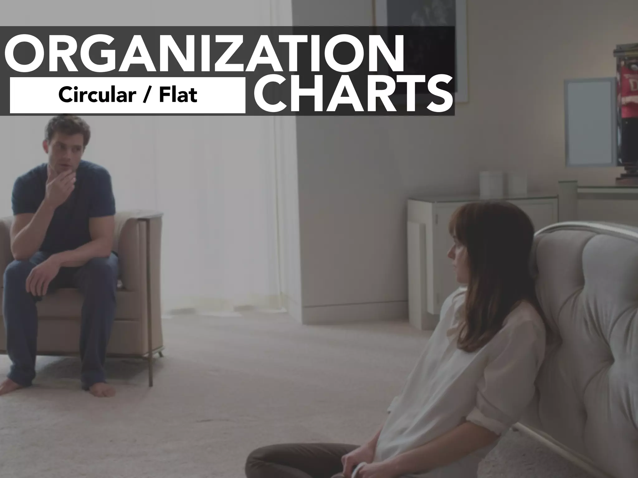 ORGANIZATION
CHARTSCircular / Flat
 
