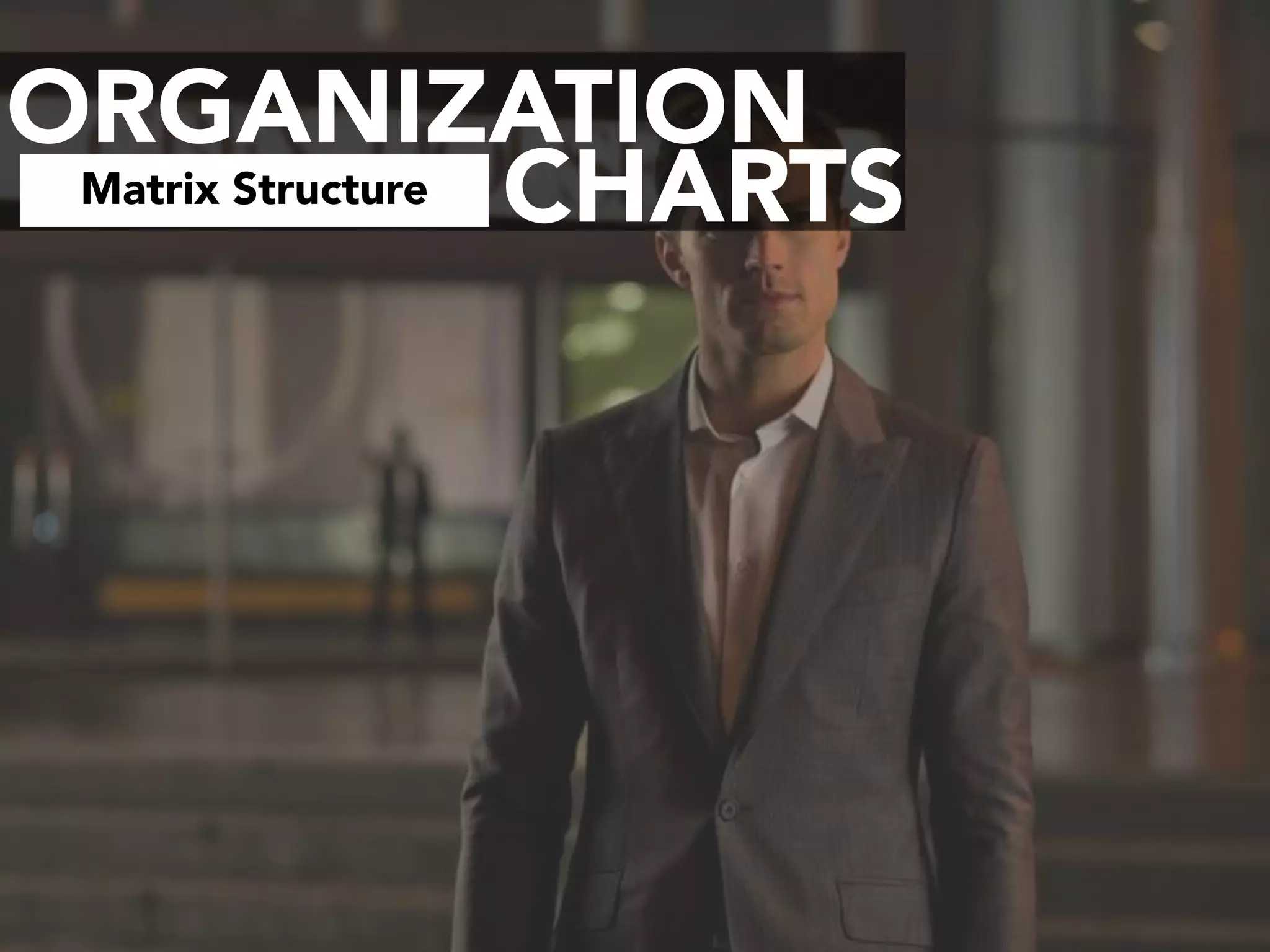 ORGANIZATION
CHARTSMatrix Structure
 