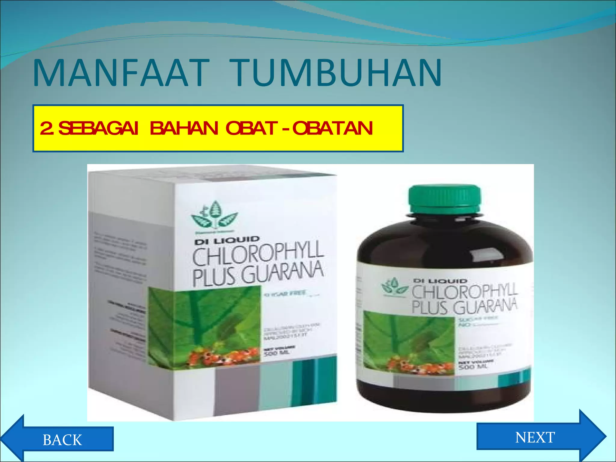 MANFAAT  TUMBUHAN 2. SEBAGAI  BAHAN  OBAT - OBATAN NEXT BACK 