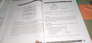 ict grade 12 lesson 2 sinhala medium notes pdf