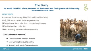The Study
A cross-sectional survey, May 29th and June16th 2020;
N=2,010 actors with 94% response rate
Quantitative data collection - phone-based survey
Qualitative Data collection
KII- emailing a structured questionnaire
To assess the effect of the pandemic on livelihoods and food systems of actors along
the livestock value chain
Approach
COVID-19 control measures:
 Closure of some livestock markets
 Less working time due to curfew
 Several check points /border closures
 