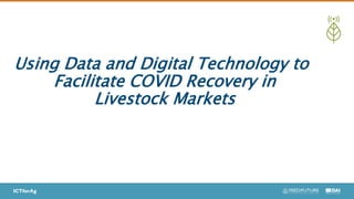 Impact of COVID-19 on Livestock Value Chain in Kenya