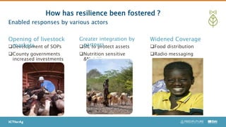 Impact of COVID-19 on Livestock Value Chain in Kenya