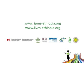 ICTs for better access to information/knowledge for Ethiopian livestock keepers