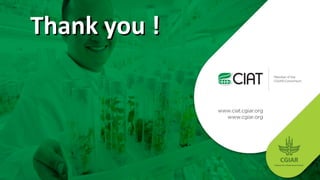 Designing a 2 ways information system for site-specific agriculture implementation