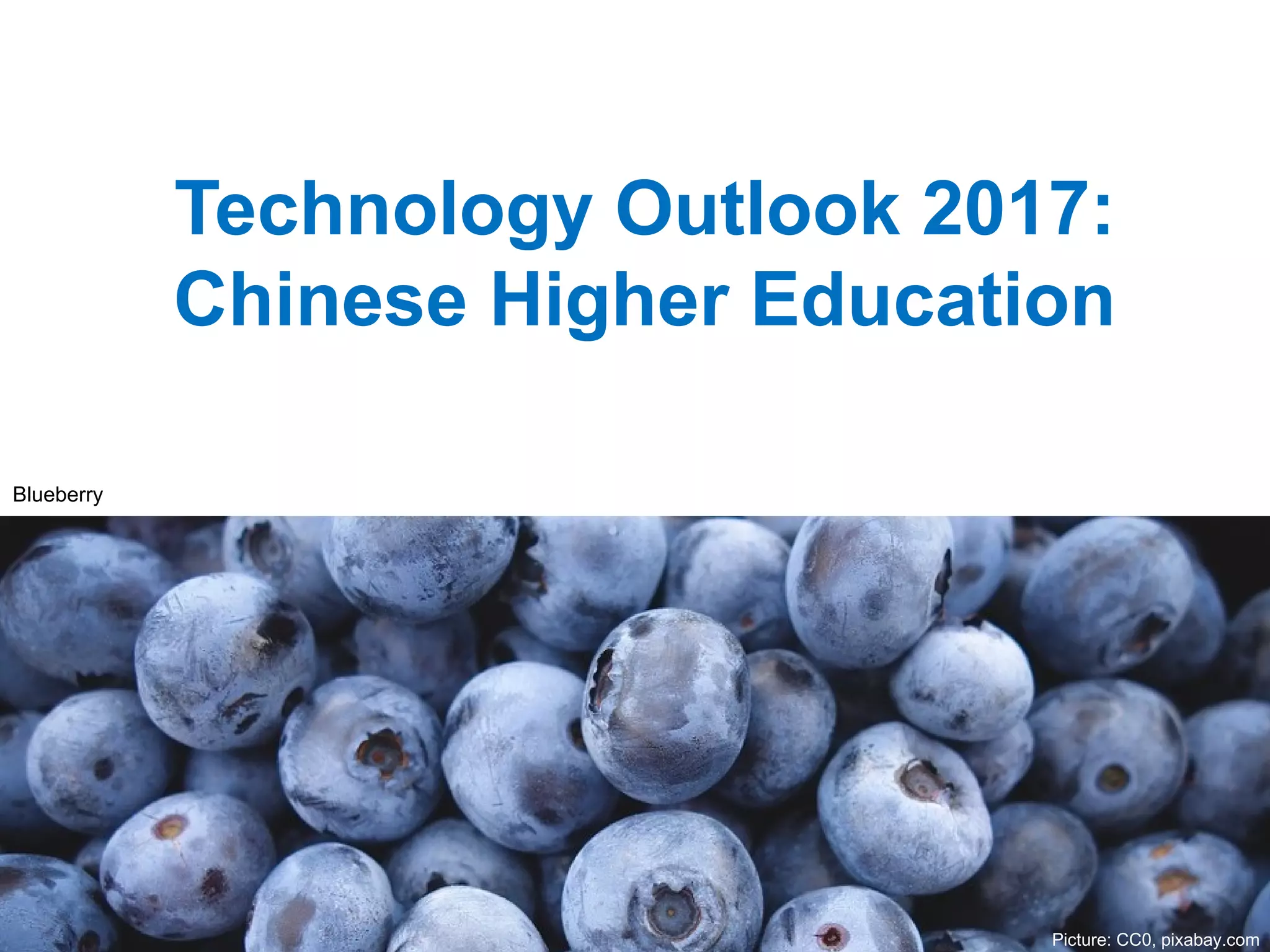 Technology Outlook 2017:
Chinese Higher Education
Picture: CC0, pixabay.com
Blueberry
 