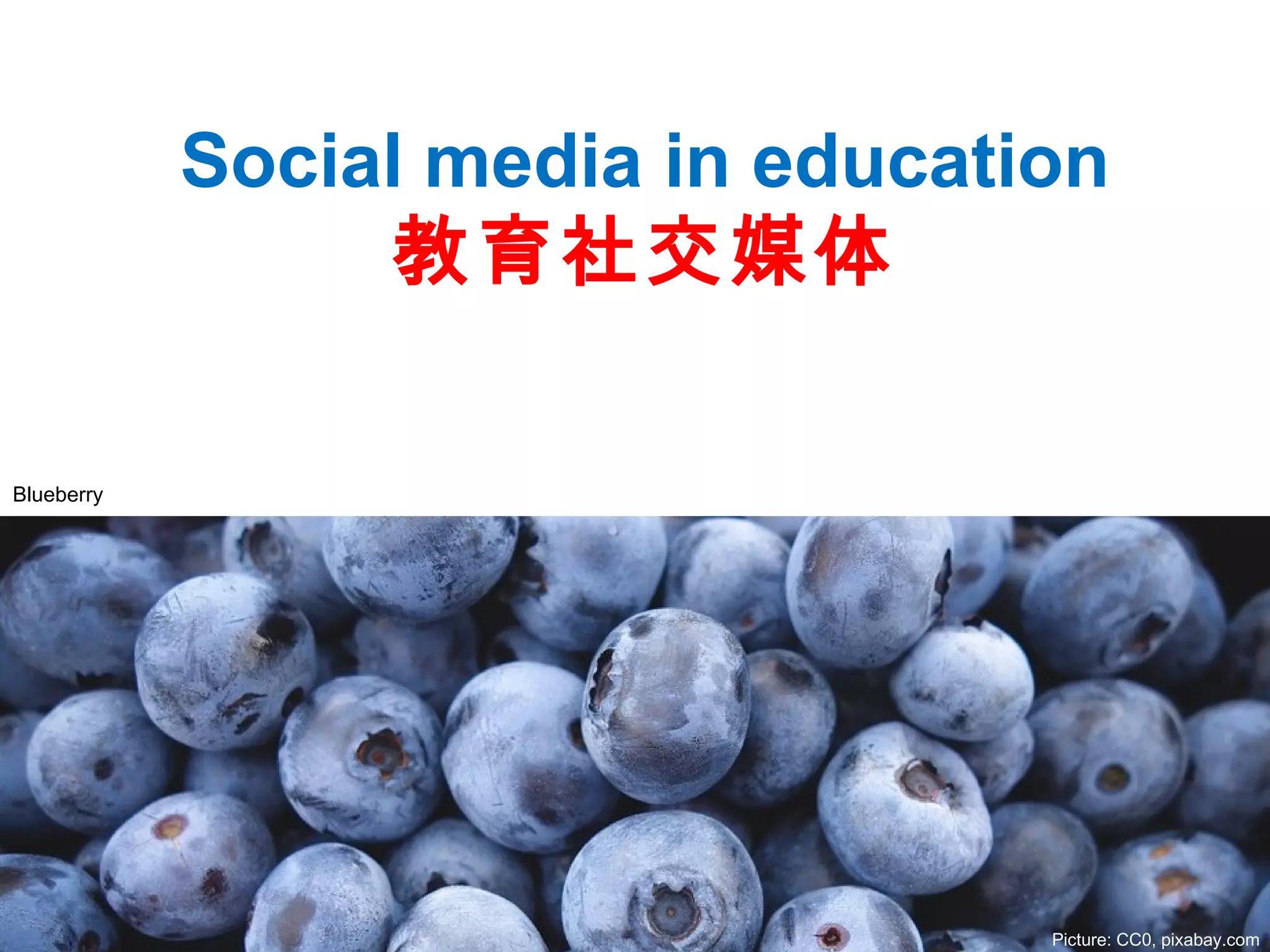 Social media in education
教育社交媒体
Picture: CC0, pixabay.com
Blueberry
 