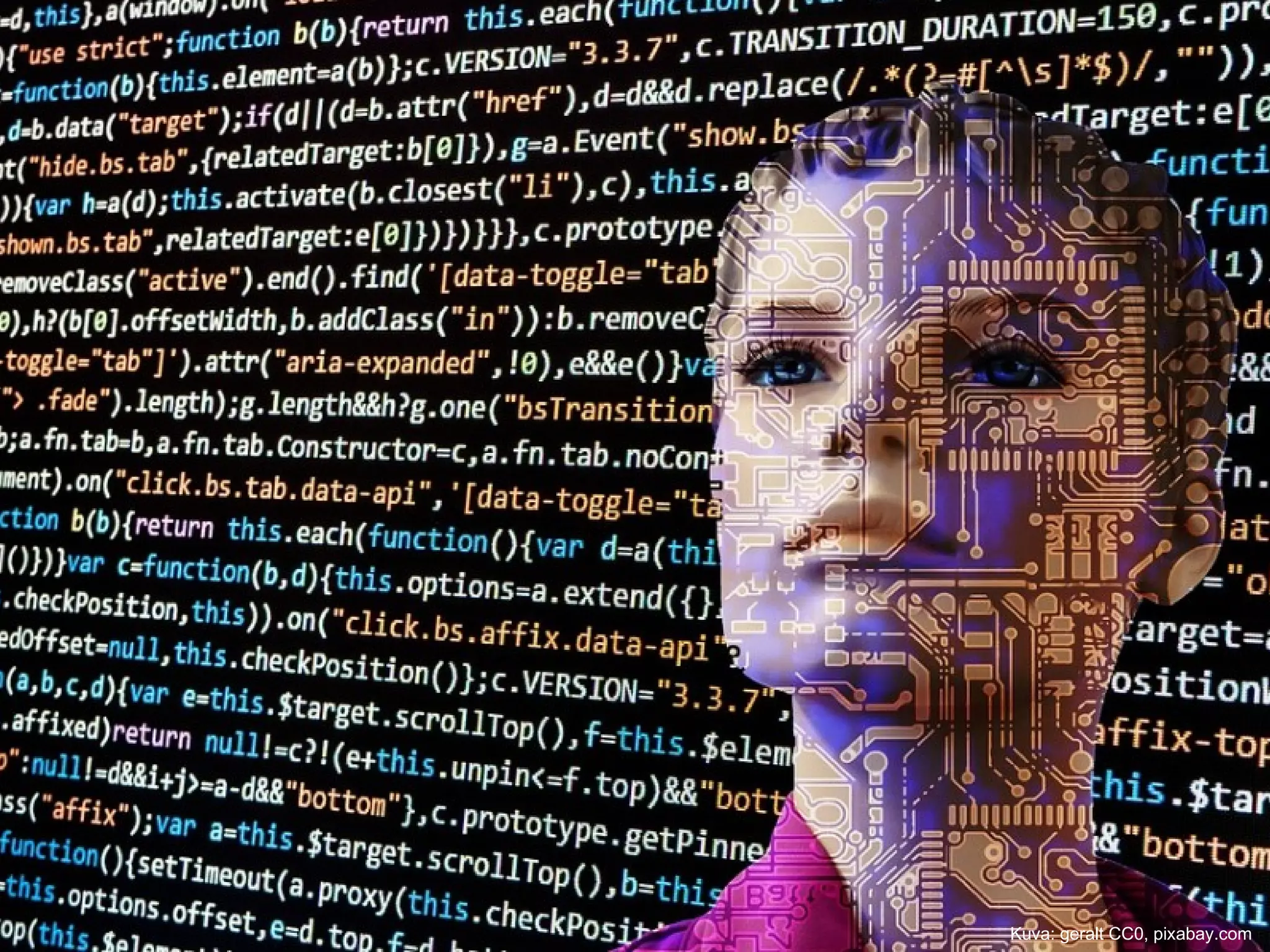 Kuva: geralt CC0, pixabay.com
 