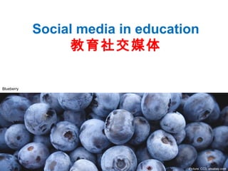 Social media in education
教育社交媒体
Picture: CC0, pixabay.com
Blueberry
 