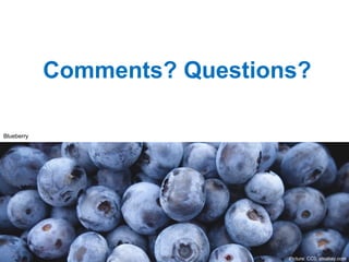 Comments? Questions?
Picture: CC0, pixabay.com
Blueberry
 