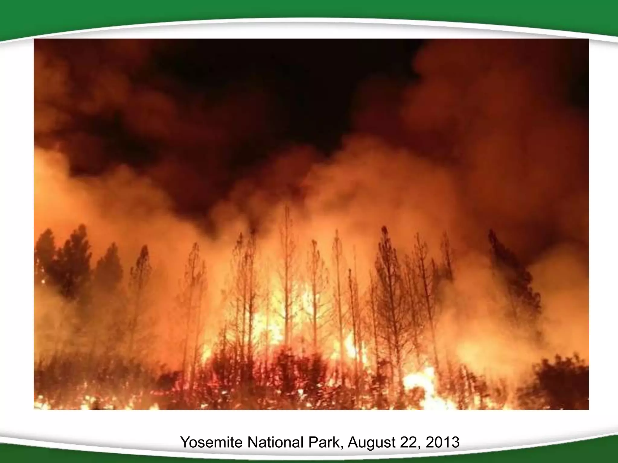 Yosemite National Park, August 22, 2013

 