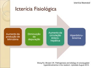 Icterícia Neonatal


Icterícia Fisiológica




           Wong RJ, Bhutani VK. Pathogenesis and etiology of unconjugated
                 hyperbilirubinemia in the newborn. Uptodate August 2012.
 