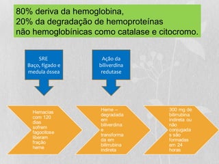SRE
Baço, fígado e
medula óssea
Ação da
biliverdina
redutase
80% deriva da hemoglobina,
20% da degradação de hemoproteínas
não hemoglobínicas como catalase e citocromo.
 