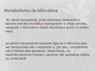 Metabolismo da bilirrubina
BI, sendo lipossolúvel, pode atravessar facilmente a
barreira hemato-encefálica impregnando a célula nervosa,
causando o Kernicterus (lesão neurológica grave no recém-
nato).
ão sendo hidrossolúvel necessita ligar-se à albumina para
ser transportada até o hepatócito e, por isso, normalmente
não é filtrada pelo glomérulo. Desta forma, na
hiperbilirrubinemia indireta o paciente não apresenta colúria
ou acolia fecal.
 