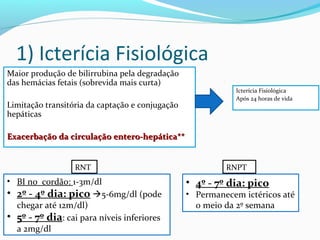 1) Icterícia Fisiológica
Maior produção de bilirrubina pela degradação
das hemácias fetais (sobrevida mais curta)
Limitação transitória da captação e conjugação
hepáticas
Exacerbação da circulação entero-hepática**Exacerbação da circulação entero-hepática**
Icterícia Fisiológica
Após 24 horas de vida
• BI no cordão: 1-3m/dl
• 2º - 4º dia: pico 5-6mg/dl (pode
chegar até 12m/dl)
• 5º - 7º dia: cai para níveis inferiores
a 2mg/dl
RNT
• 4º - 7º dia: pico
• Permanecem ictéricos até
o meio da 2º semana
RNPT
 