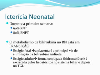 Icterícia Neonatal
Durante a primeira semana:
60% RNT
80% RNPT
O metabolismo da bilirrubina no RN está em
TRANSIÇÃO:
Estágio fetal a placenta é a principal via de
eliminação da bilirrubina indireta
Estágio adulto forma conjugada (hidrossolúvel) é
excretada pelos hepatócitos no sistema biliar e depois
no TGI.
 