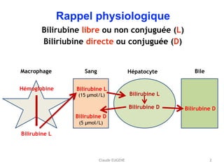Claude EUGENE
Rappel physiologique 
Bilirubine libre ou non conjuguée (L) 
Biliriubine directe ou conjuguée (D)
Schéma normal
Macrophage
Hémoglobine
Bilirubine L
2
Bilirubine L
(15 µmol/L)
Sang Hépatocyte Bile
Bilirubine L
Bilirubine D
Bilirubine D
(5 µmol/L)
Bilirubine D
 