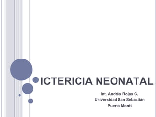 ICTERICIA NEONATAL
           Int. Andrés Rojas G.
        Universidad San Sebastián
              Puerto Montt
 