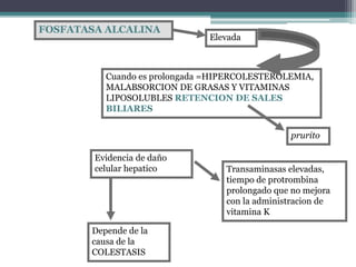 FOSFATASA ALCALINA
Elevada
Cuando es prolongada =HIPERCOLESTEROLEMIA,
MALABSORCION DE GRASAS Y VITAMINAS
LIPOSOLUBLES RETENCION DE SALES
BILIARES
prurito
Evidencia de daño
celular hepatico Transaminasas elevadas,
tiempo de protrombina
prolongado que no mejora
con la administracion de
vitamina K
Depende de la
causa de la
COLESTASIS
 