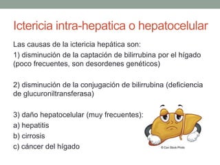 Ictericia intra-hepatica o hepatocelular
Las causas de la ictericia hepática son:
1) disminución de la captación de bilirrubina por el hígado
(poco frecuentes, son desordenes genéticos)
2) disminución de la conjugación de bilirrubina (deficiencia
de glucuroniltransferasa)
3) daño hepatocelular (muy frecuentes):
a) hepatitis
b) cirrosis
c) cáncer del hígado
 