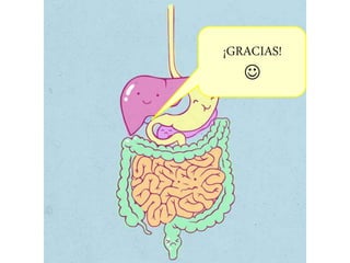 ¡GRACIAS!

 