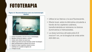 FOTOTERAPIA
• Utiliza la luz blanca o la azul fluorescente.
• Efecto local, sobre la bilirrubina circulante a
través de los capilares cutáneos,
transformándola en isómeros no tóxicos
(lumirrubina) e hidrosolubles.
• La dosis lumínica útil está entre 6-9
mw/cm2/ nm, en la longitud de onda entre
420-500 nm.
 