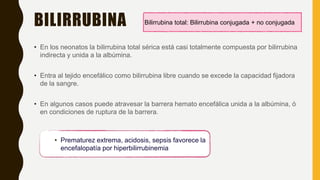 BILIRRUBINA
• En los neonatos la bilirrubina total sérica está casi totalmente compuesta por bilirrubina
indirecta y unida a la albúmina.
• Entra al tejido encefálico como bilirrubina libre cuando se excede la capacidad fijadora
de la sangre.
• En algunos casos puede atravesar la barrera hemato encefálica unida a la albúmina, ó
en condiciones de ruptura de la barrera.
Bilirrubina total: Bilirrubina conjugada + no conjugada
• Prematurez extrema, acidosis, sepsis favorece la
encefalopatía por hiperbilirrubinemia
 