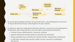 • Un gramo de hemoglobina produce 35 mg de bilirrubina y aproximadamente se forman 8-
10 mg de bilirrubina al día por cada kilogramo de peso corporal.
• La albúmina capta dos moléculas de bilirrubina indirecta. La primera se une fuertemente a
la bilirrubina, pero la segunda tiene una unión lábil y puede liberarse fácilmente:
– Factores clínicos (deshidratación, hipoxemia, acidosis)
– Agentes terapéuticos (ácidos grasos por alimentación parenteral)
– Drogas (estreptomicina, cloranfenicol, alcohol benzílico, sulfisoxasole, ibuprofeno).
– La bilirrubina indirecta libre penetra al tejido nervioso causando encefalopatía
bilirrubínica.
Factor Hem
Biliverdina
Monóxido de
carbono
Hemo-
oxigenas
a
Fe libre
Pulmones
Bilirrubina
indirecta
Biliverdina
reductasa
 