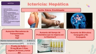 Ictericia: Hepática
Aumentan Marcadores de
Transaminasas:
TGO
TGP
Ascitis, Edema, Encefalopatia
Prueba de Koller –
10 mg IM por 5 Dias,
esperar 24 horas y tomar
BH
Aumento del tiempo de
Protombina que no mejora con
la Vitamina K
Aumento de Bilirrubina
Conjugada y No
Conjugada
 