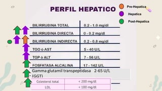 Pre-Hepatica
Hepatica
Post-Hepatica
 