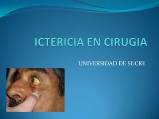 ICTERICIA EN CIRUGIA UNIVERSIDAD DE SUCRE 