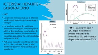 Que Detecta Vhc ICTERICIA INFANTIL Y NEONATAL 2024 v2.0.pdf