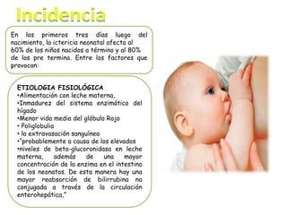 ETIOLOGIA FISIOLÓGICA
•Alimentación con leche materna,
•Inmadurez del sistema enzimático del
hígado
•Menor vida media del glóbulo Rojo
• Poliglobulia
• la extravasación sanguínea
•“probablemente a causa de los elevados
•niveles de beta-glucoronidasa en leche
materna, además de una mayor
concentración de la enzima en el intestino
de los neonatos. De esta manera hay una
mayor reabsorción de bilirrubina no
conjugada a través de la circulación
enterohepática,”
En los primeros tres días luego del
nacimiento, la ictericia neonatal afecta al
60% de los niños nacidos a término y al 80%
de los pre termino. Entre los factores que
provocan:
 