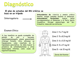 El plan de estudios del RN ictérico se
basa en un trípode:
Interrogatorio
Examen Clínico
Antecedentes de: ictericia y anemia crónica
familiar, drogas tomadas durante el embarazo.
Antecedentes Perinatales: buscar datos
correspondientes al Embarazo y el Parto (parto
traumático, fórceps ginecorragia del 3er.
trimestre, inducción con oxitocina
Zona 1: 4 a 7 mg/dl
Zona 2: 5 a 8,5 mg/dl
Zona 3: 6 a 11,5 mg/dl
Zona 4: 9 a 17 mg/dl
Zona 5: > de 15 mg/dl.
Zonas de Kramer
Si hay hemólisis se puede acompañar de:
palidez de piel y mucosas,
hepatoesplenomegalia, edema generalizado
(Hidrops Fetalis). Otro síntomas es
hipoglucemia, como resultado de la
hiperplasia pancreática. Se debe buscar la
presencia de cefalohematomas y otras
hemorragias internas, como causa de
hiperbilirrubinemia.
 