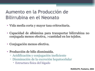Aumento en la Producción de Bilirrubina en el Neonato Vida media corta y mayor tasa eritrocitaria. Capacidad de albúmina para transportar bilirrubina no conjugada menos efectiva, >cantidad en los tejidos. Conjugación menos efectiva.  Producción de bilis disminuida. Acidificación y conjugación ineficiente Disminución de la excreción hepatocelular Estructura física del hígado RUDOLPH, Pediatría, 2004 