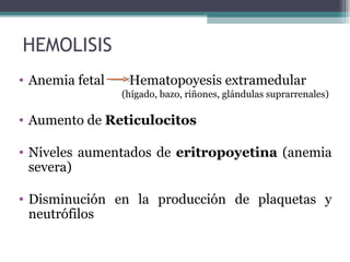 Anemia fetal   Hematopoyesis extramedular   (hígado, bazo, riñones, glándulas suprarrenales) Aumento de  Reticulocitos Niveles aumentados de  eritropoyetina  (anemia severa) Disminución en la producción de plaquetas y neutrófilos HEMOLISIS 